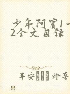 少年阿宾1一72全文目录