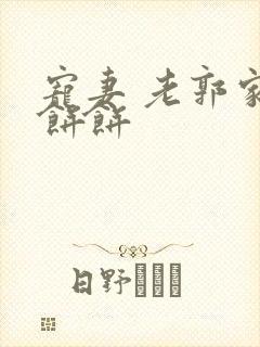 宠妻 老郭家的饼饼