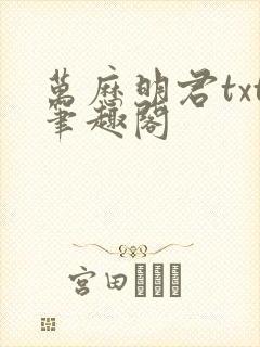 万历明君txt笔趣阁