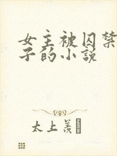 女主被囚禁生孩子的小说