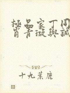 极品家丁同人之肖青璇与诚王封面