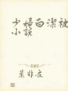 少妇白洁被强干小说封面