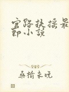 官路扶摇最新章节小说