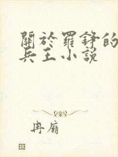 关于罗铮的最强兵王小说