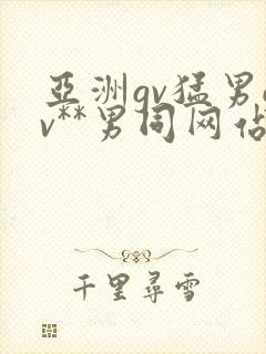 亚洲gv猛男gv**男同网站