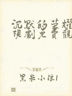 沉默的荣耀 电视剧免费观看全集高清版