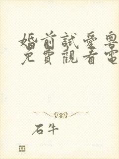 婚前试爱粤语版免费观看电视封面