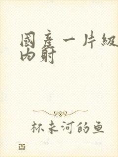 国产一片级极品内射