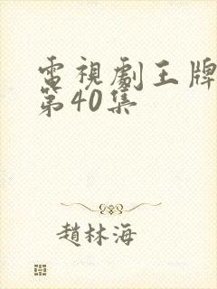 电视剧王牌部队第40集