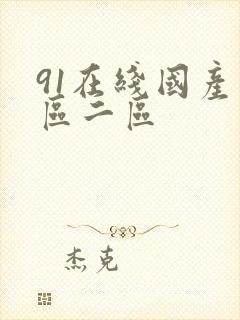 91在线国产一区二区