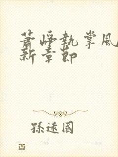 萧峥执掌风云最新章节