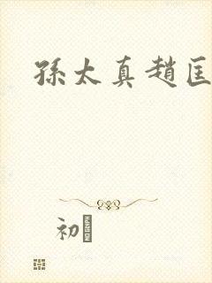 孙太真赵匡胤封面