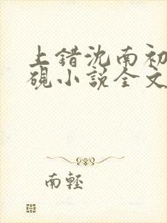 上错沈南初陆时砚小说全文免费阅读封面