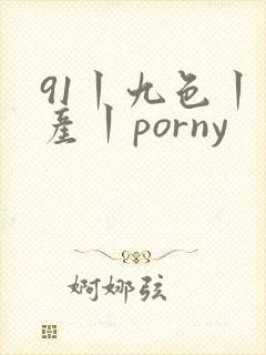 91丨九色丨国产丨porny