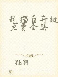 我独自升级动漫免费全集