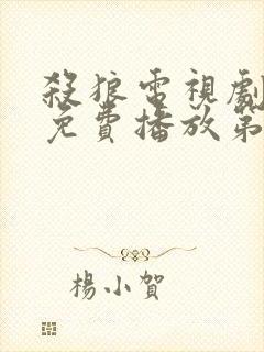 杀狼电视剧全集免费播放第30集在线观看