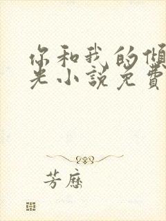 你和我的倾城时光小说免费阅读全文封面