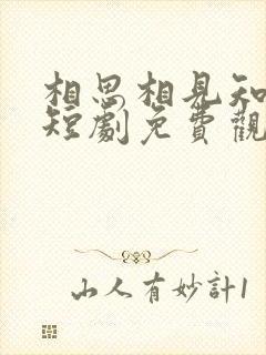 相思相见知何日短剧免费观看