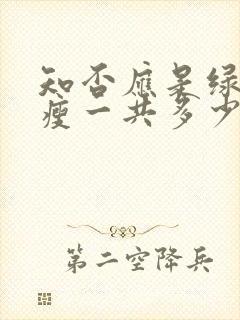 知否应是绿肥红瘦一共多少集