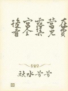 后宫露营在线观看全集免费