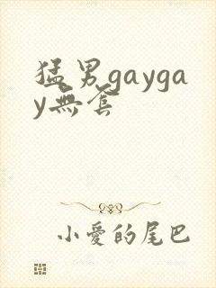 猛男gaygay无套