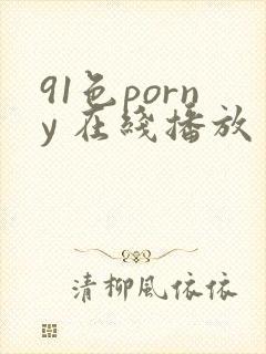 91色porny 在线播放