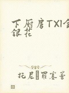 下厨房TXl金银花