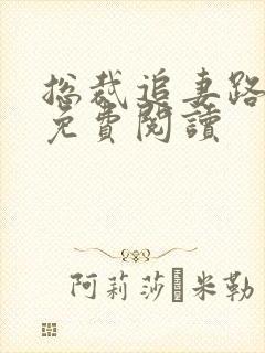 总裁追妻路漫漫免费阅读