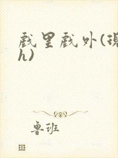 戏里戏外(现场h)