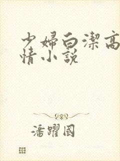 少妇白洁高义激情小说封面