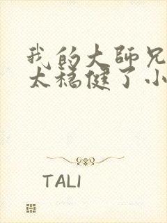 我的大师兄实在太稳健了小说