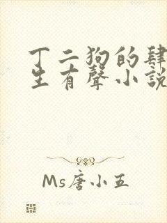 丁二狗的肆意人生有声小说免费