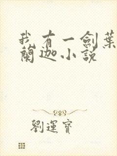 我有一剑叶观纳兰迦小说