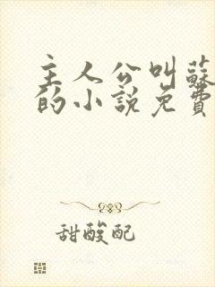 主人公叫苏铭渊的小说免费阅读