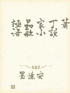 极品家丁萧夫人洛敏小说封面