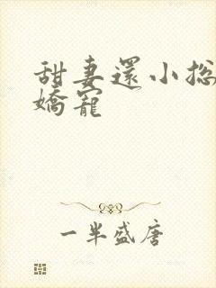 甜妻还小总裁需娇宠