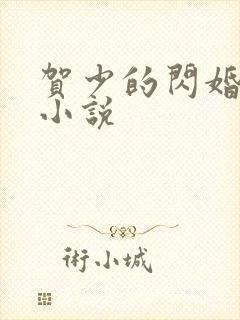 贺少的闪婚暖妻小说封面