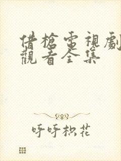 借枪电视剧免费观看全集