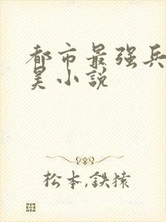 都市最强兵王叶昊小说