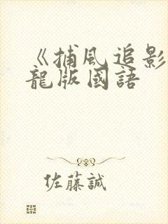《捕风追影》成龙版国语