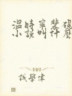 温时宁裴砚止的小说叫什么