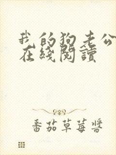 我的狗老公小说在线阅读