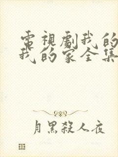 电视剧我的孩子我的家全集