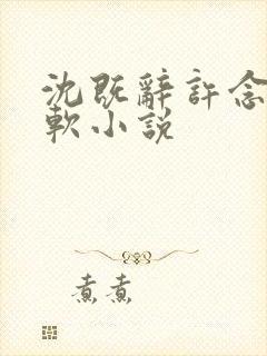 沈既辞许念念温软小说