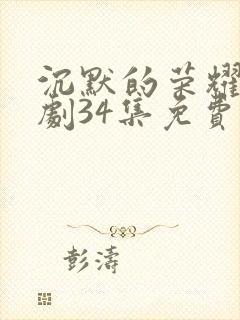 沉默的荣耀电视剧34集免费观看