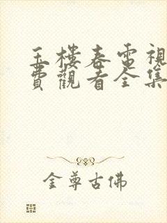 玉楼春电视剧免费观看全集西瓜封面