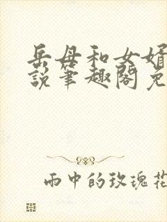 岳母和女婿的小说笔趣阁免费阅读