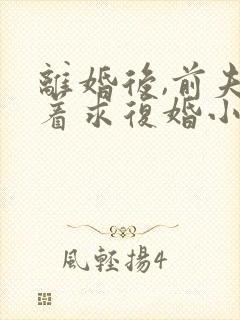 离婚后,前夫哭着求复婚小说全文在线阅读