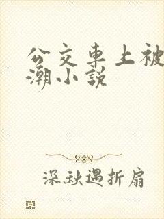 公交车上被插高潮小说