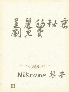 美丽的秘密电视剧免费